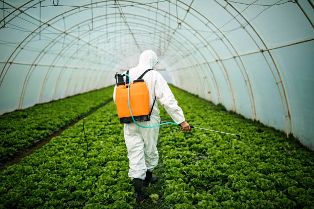 Best Mosquito Control Services  in Menifee, CA