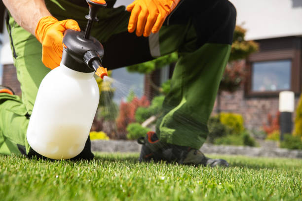 Best Pest Inspection Near Me  in Menifee, CA