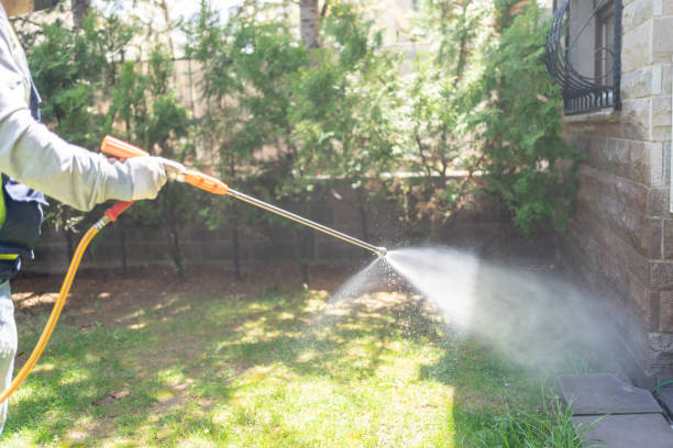 Best Wildlife Control Services  in Menifee, CA