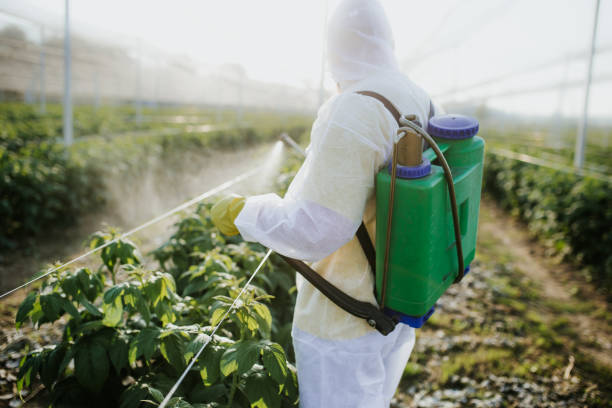 Best Pest Control Near Me  in Menifee, CA